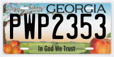 GA license plate PWP2353