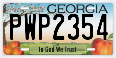 GA license plate PWP2354