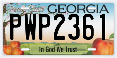 GA license plate PWP2361