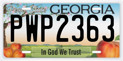 GA license plate PWP2363