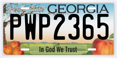 GA license plate PWP2365
