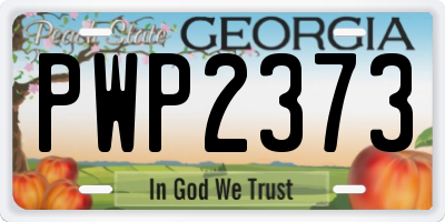 GA license plate PWP2373