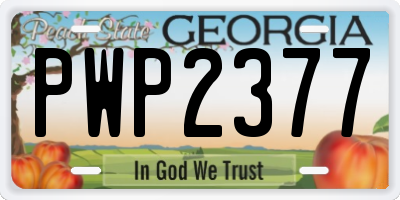GA license plate PWP2377