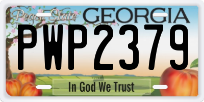 GA license plate PWP2379