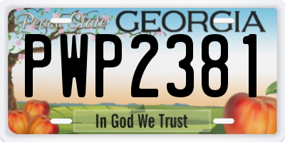 GA license plate PWP2381