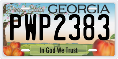GA license plate PWP2383