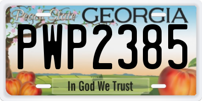 GA license plate PWP2385