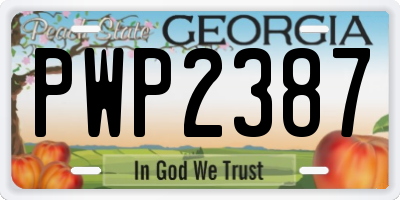 GA license plate PWP2387