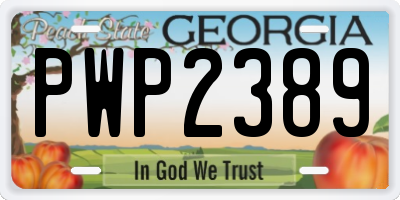 GA license plate PWP2389