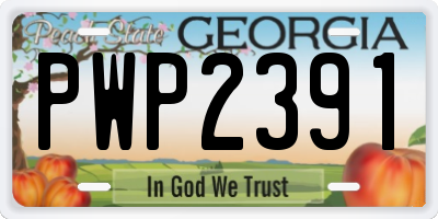 GA license plate PWP2391