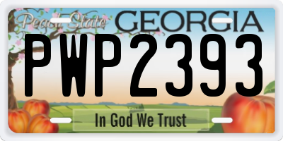 GA license plate PWP2393