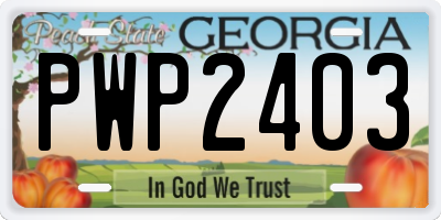 GA license plate PWP2403