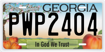 GA license plate PWP2404
