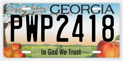 GA license plate PWP2418