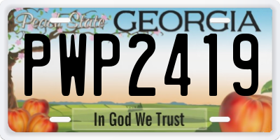 GA license plate PWP2419