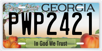 GA license plate PWP2421