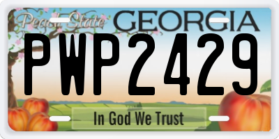 GA license plate PWP2429