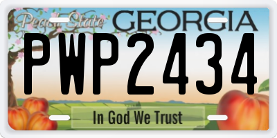 GA license plate PWP2434