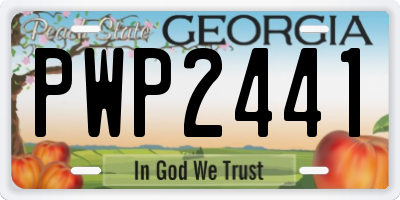 GA license plate PWP2441