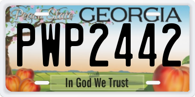 GA license plate PWP2442