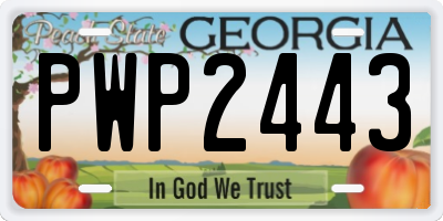 GA license plate PWP2443