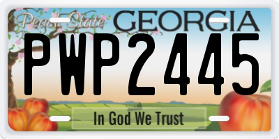 GA license plate PWP2445