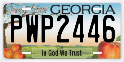 GA license plate PWP2446