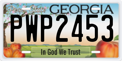 GA license plate PWP2453