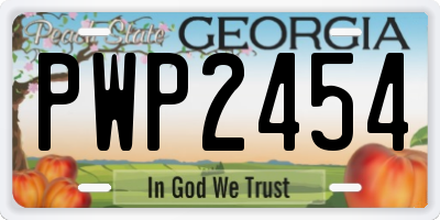 GA license plate PWP2454