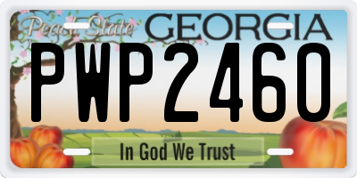 GA license plate PWP2460