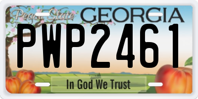 GA license plate PWP2461