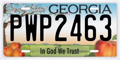 GA license plate PWP2463