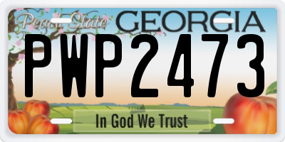 GA license plate PWP2473