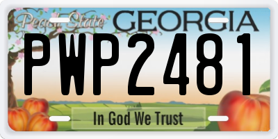 GA license plate PWP2481