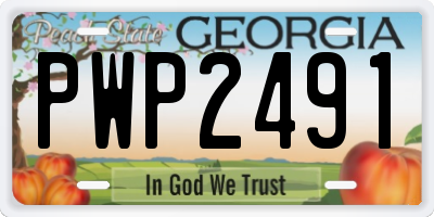 GA license plate PWP2491