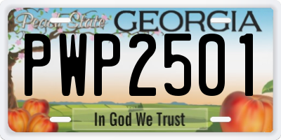GA license plate PWP2501