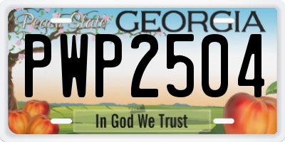 GA license plate PWP2504
