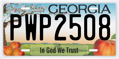 GA license plate PWP2508