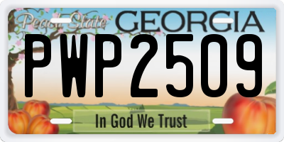 GA license plate PWP2509