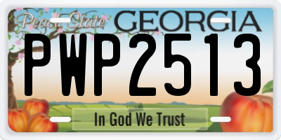 GA license plate PWP2513