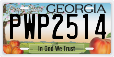 GA license plate PWP2514