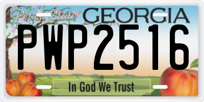 GA license plate PWP2516