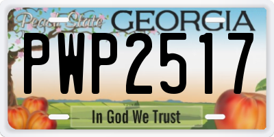GA license plate PWP2517