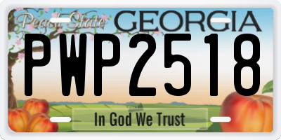 GA license plate PWP2518