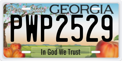 GA license plate PWP2529