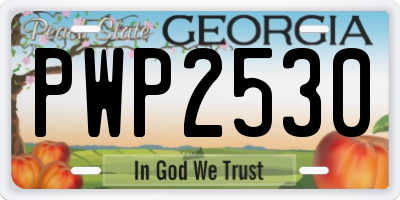 GA license plate PWP2530