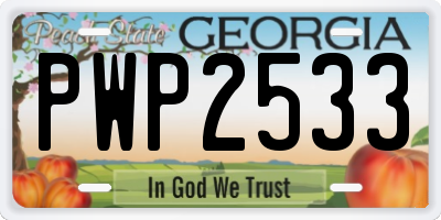 GA license plate PWP2533