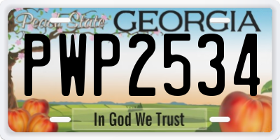 GA license plate PWP2534