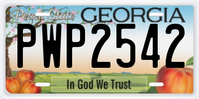 GA license plate PWP2542