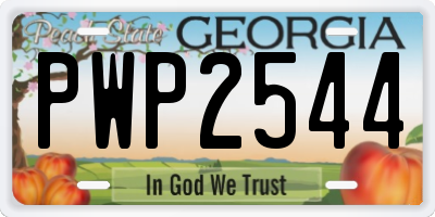 GA license plate PWP2544